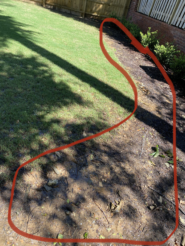 19DFC05C-4465-47F0-BF97-D8D079D11F0A