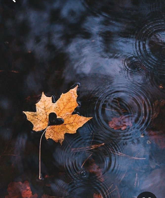 Screenshot_20240210_223407_Pinterest