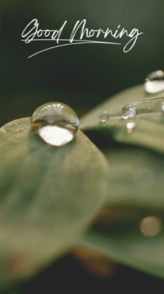 vartotojo kelta nuotrauka