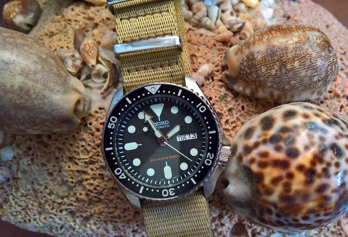 WP_20190813_13_56_14_Pro_LI (2)