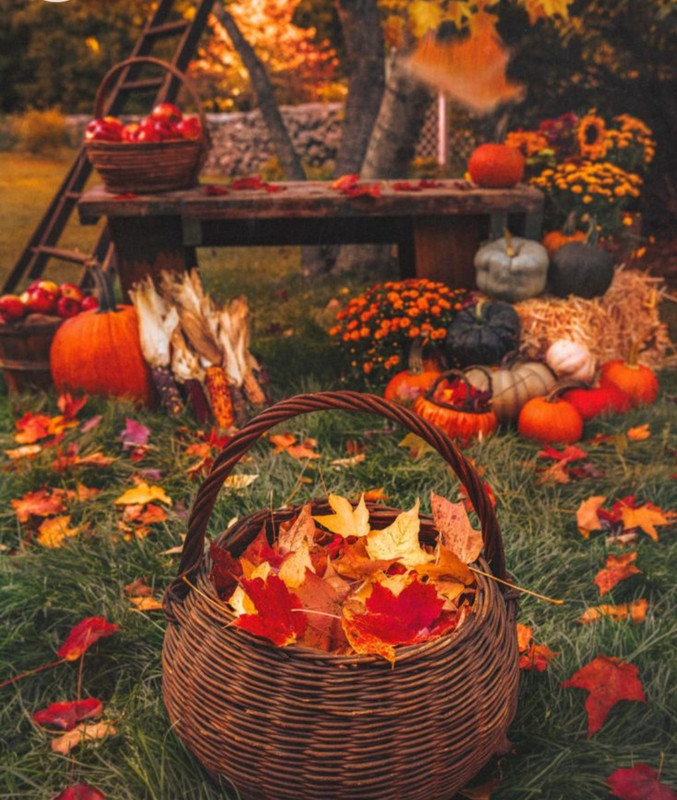 Screenshot_20230218_204557_Chrome