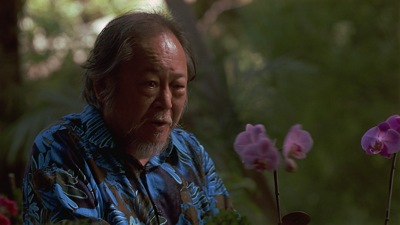 vlcsnap-2024-02-03-16h29m37s377