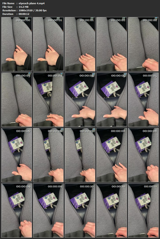 [Image: stpeach-plane-4-mp4.jpg]