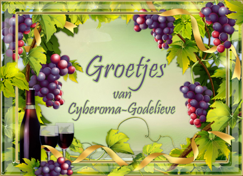 Welkom bij Cyberoma-Godelieve