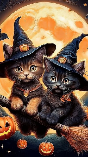 e71e9bf138c786ff5814608da2ab58f7