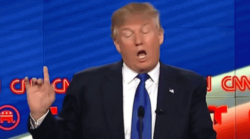 IMG-1533.gif