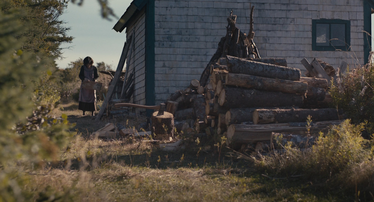 Maudie 2016 (1080p x265 10bit Tigole).mkv_snapshot_00.44.55_[201