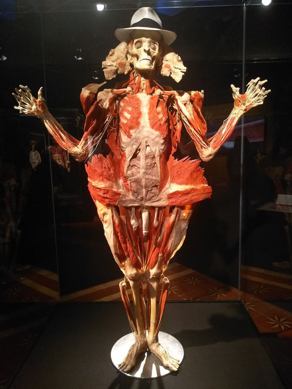 72412636_3017505264942940_2240529110830940160_n