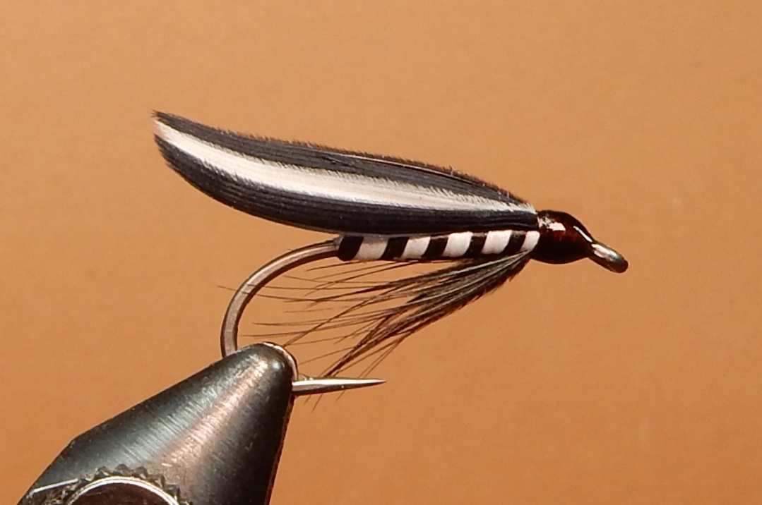 Widow-1080.jpg