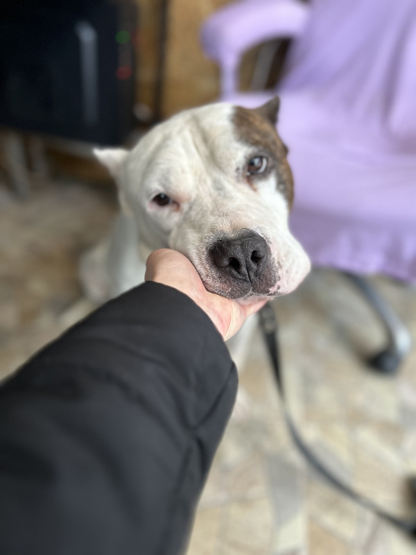 69201F47-EFA3-47F2-803C-7A6D9580349E