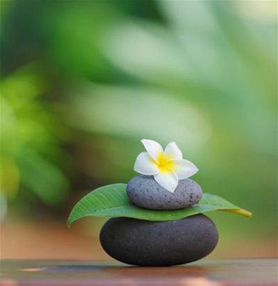 6E6DE3FE-9F20-43AD-81C1-2166E9CECCEB