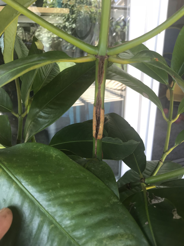 A5793832-4171-466E-80B0-4551E31DB835