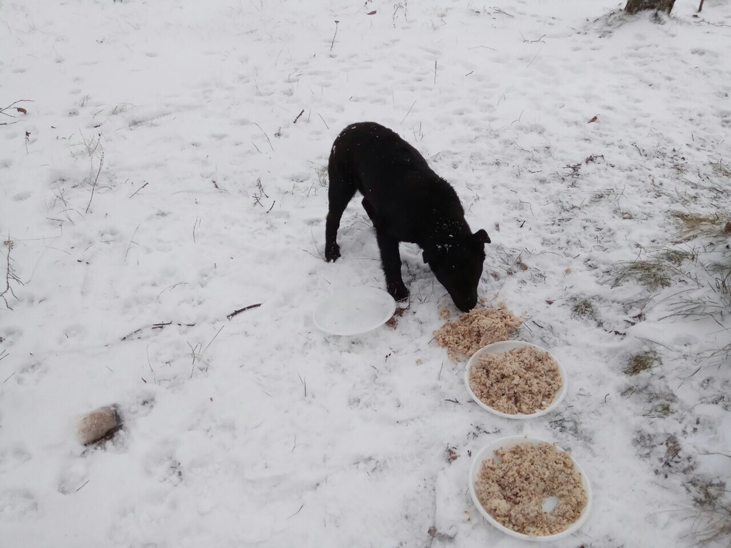 CC7E8CB7-57D7-4F50-B9AB-F2C1ADD1A14A