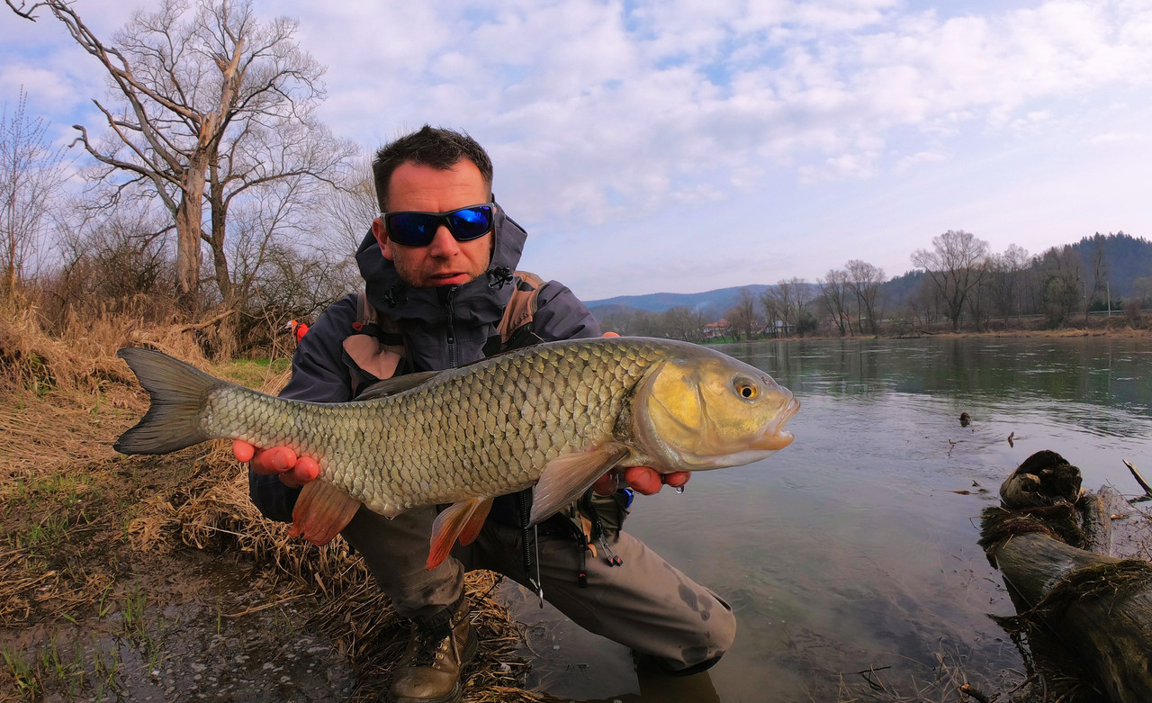 6-D345548-D82-A-4-D2-F-B222-F6-F160-FBB9