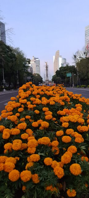 DÍA 2. SÁBADO 24 OCTUBRE 2020 - MÉXICO, GUANAJUATO Y PUEBLA. OCTUBRE 2020 (3)