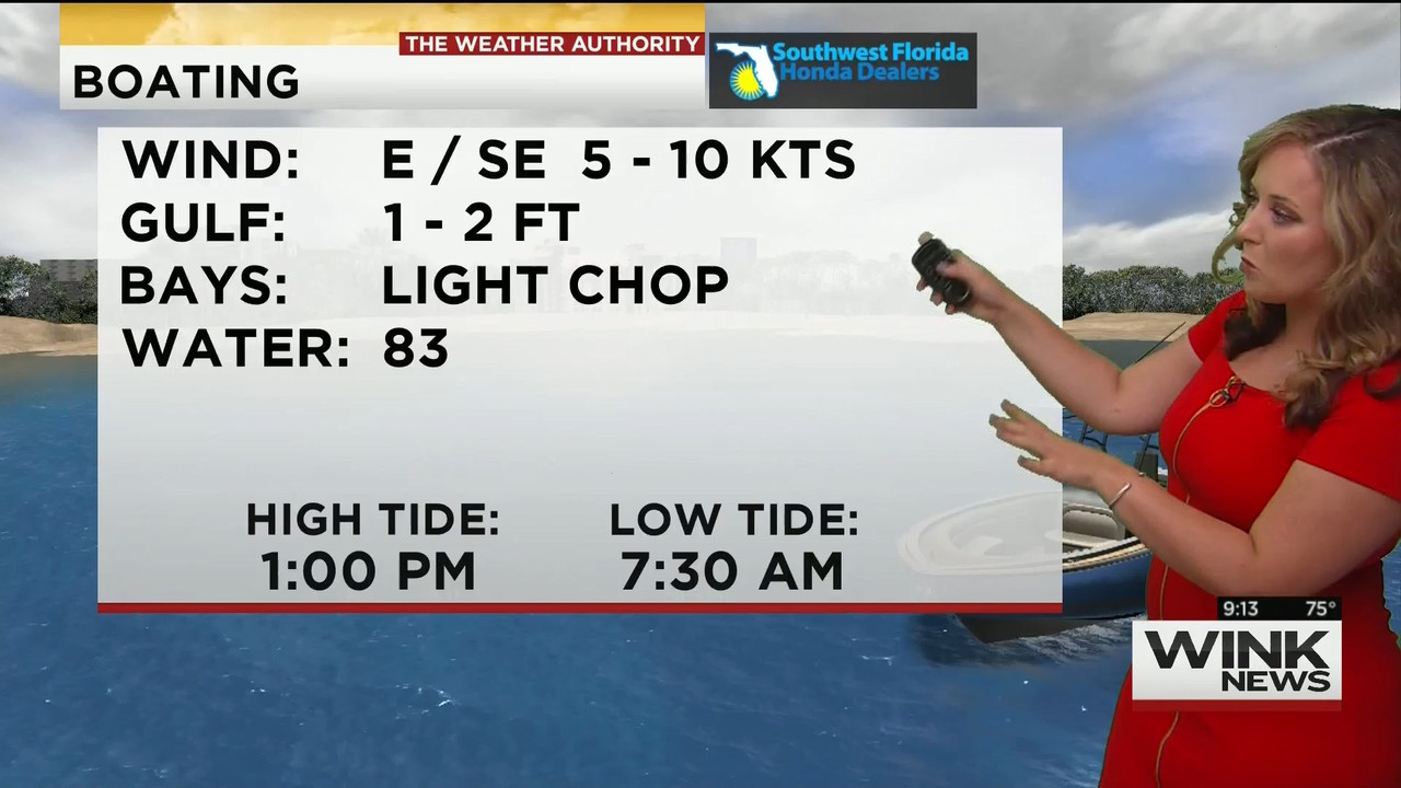 23 May - 14.00.00 - WINK News @ 9 00AM..ts_snapshot_00.18.23_[2020.05.23_17.13.03]