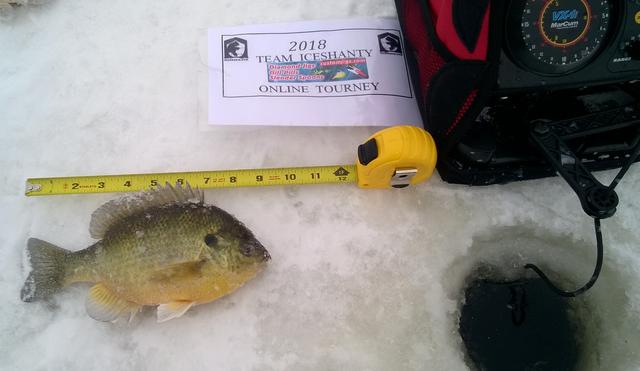 1-7-2018 Gill