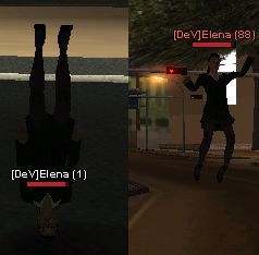 artacurata.png
