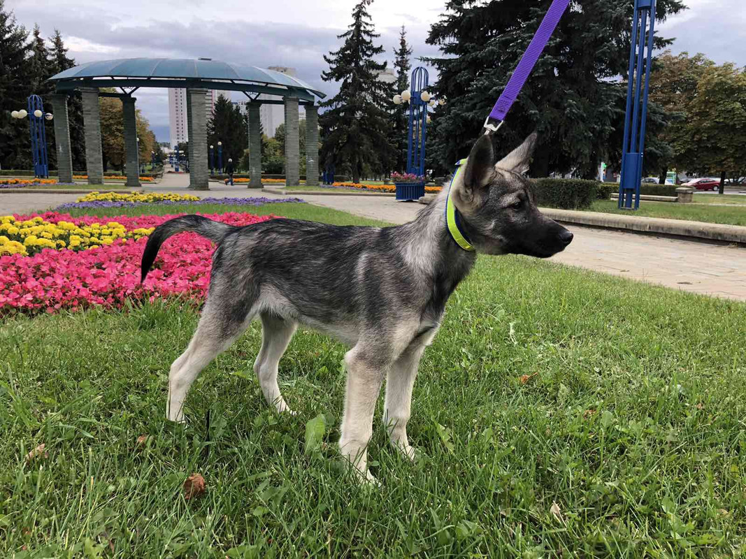 4C52842A-749A-4F2D-BF6B-ACCACC69B331