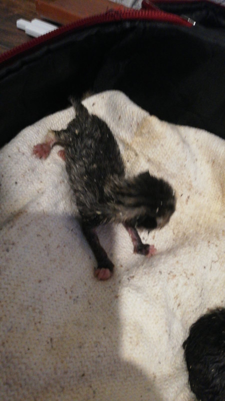 F027B8FB-CBF2-4627-BDF2-689A3B80B45D