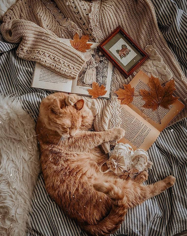 ���� ���� ������ �� ���� ������