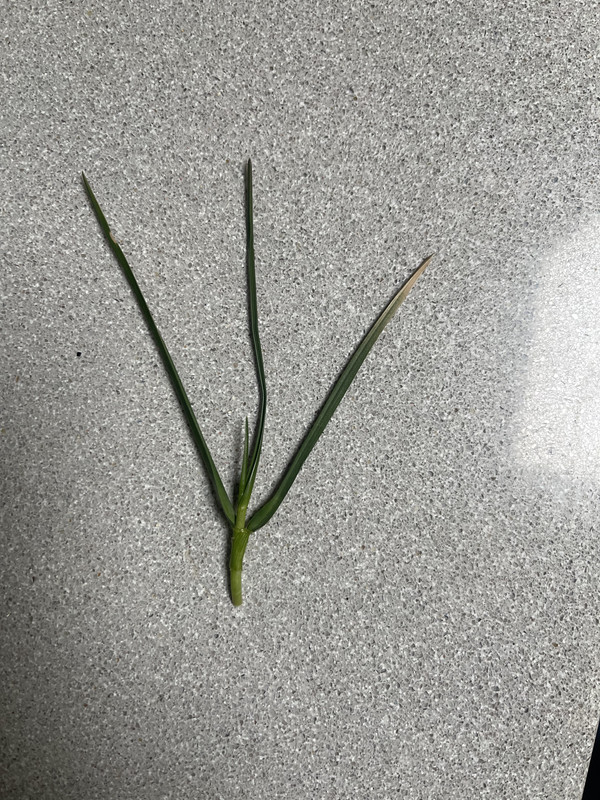 B4C6CF61-2817-4508-A9B4-BB683AF5B4A6