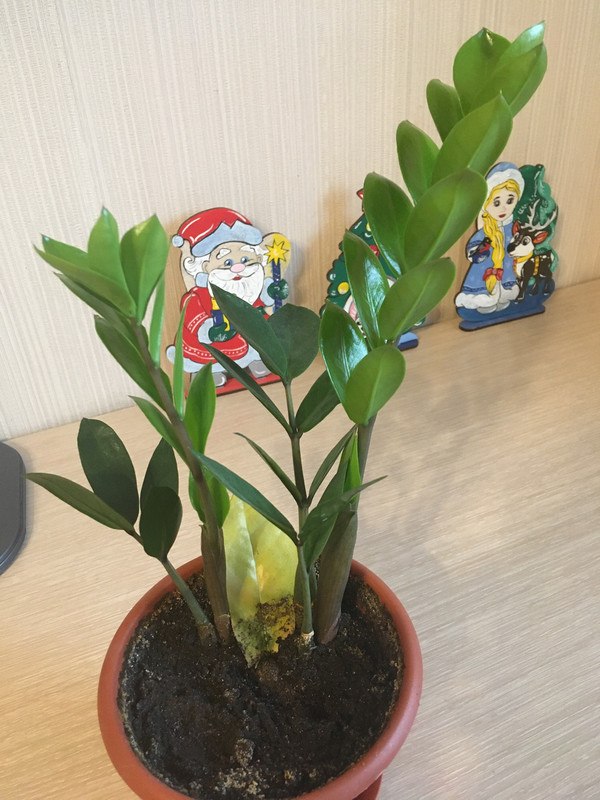 B5A76459-A976-495C-8FAA-C8B9DD494287