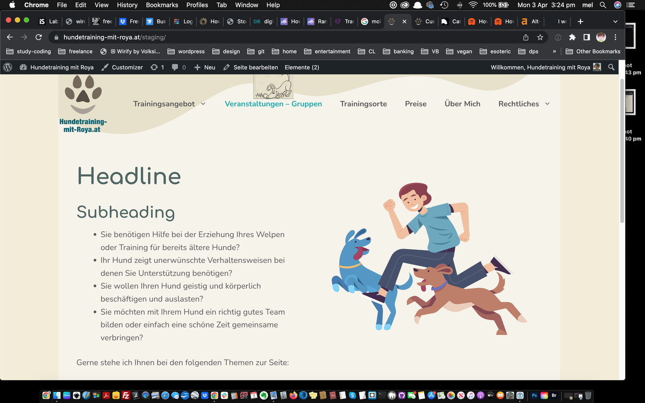 Screen Shot 2023-04-03 at 3.24.58 pm
