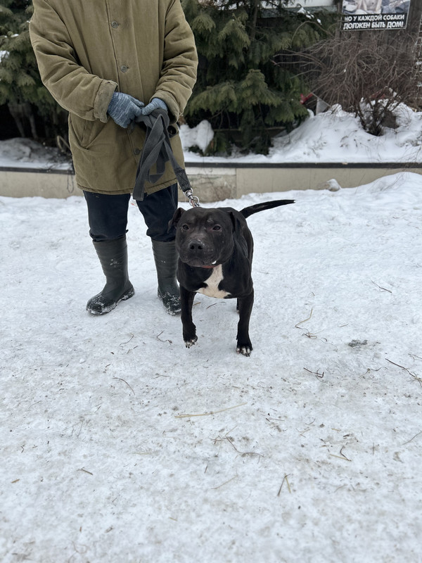 AA849691-48CE-4DAF-BA4F-74BAE374E80B