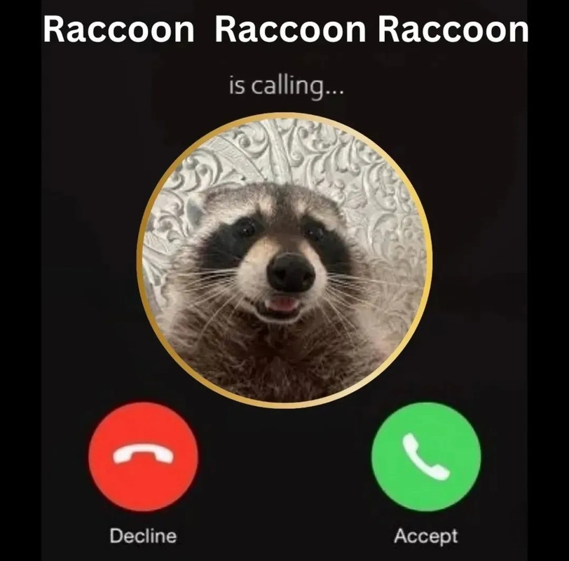 Screenshot-20250314-214722-Instagram.jpg