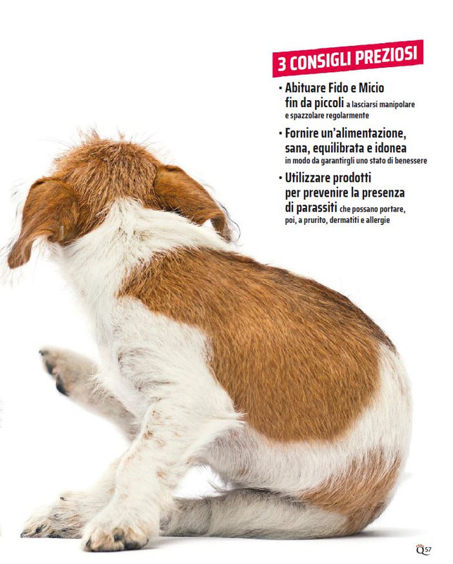 QuattroZampe Apr 2023 (10)