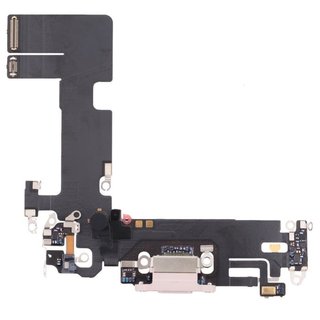 iPhone Charging Port