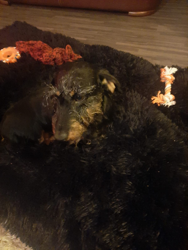 [Image: IMG-20240917-WA0000.jpg]