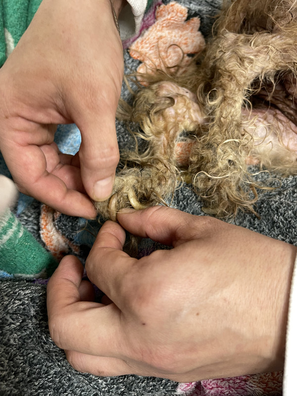 D5BEDC9E-1693-492E-B2CA-2B730C6A54E9