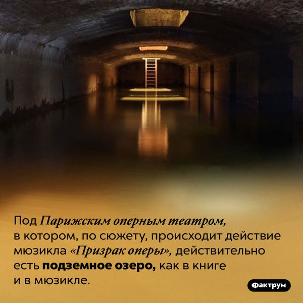 По сюжету действие мультика разворачивается в постапокалиптическом По сюжету действие мультика разворачивается в постапокалиптическом