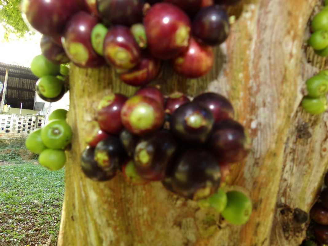 WhatsApp Image 2020-12-20 at 00.58.58 (20)