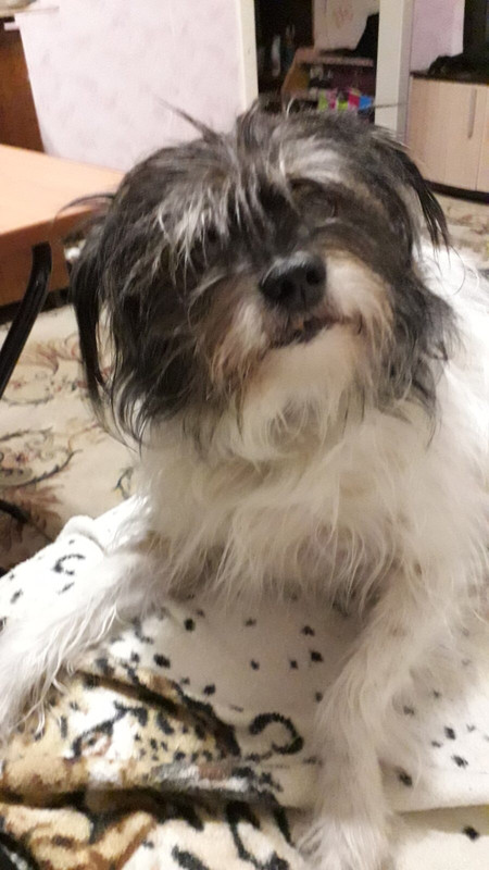 275D1328-F8AA-451C-8137-044C1549508C