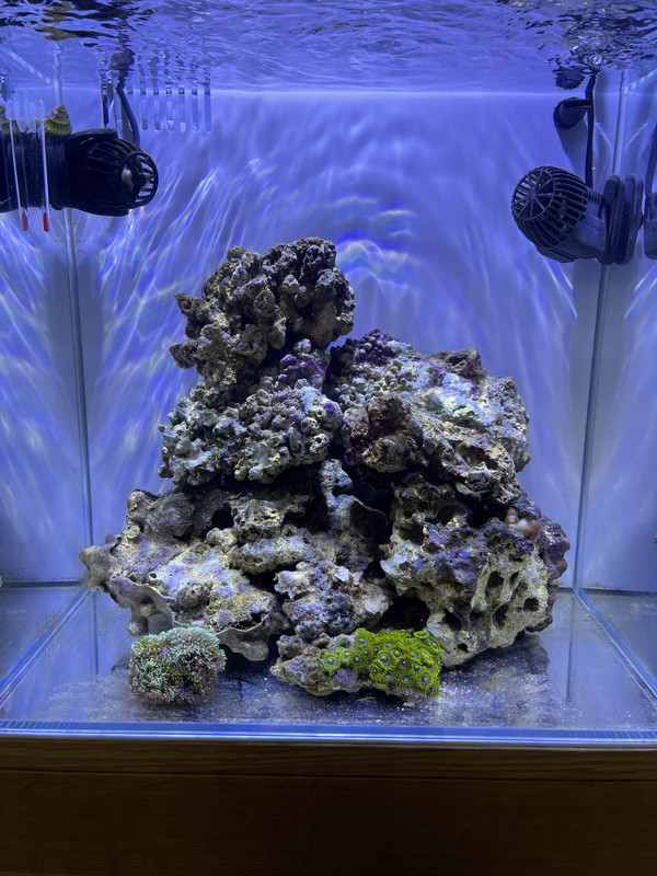 D68C1BAC-5EF5-425C-9D41-0C6315B1640E