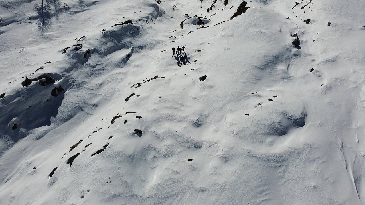 DJI-0084-MP4-snapshot-01-40-2019-12-30-23-37-00