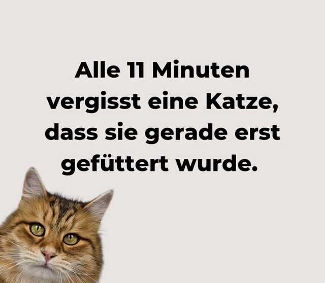 picdump-kw14-2025-134.jpg