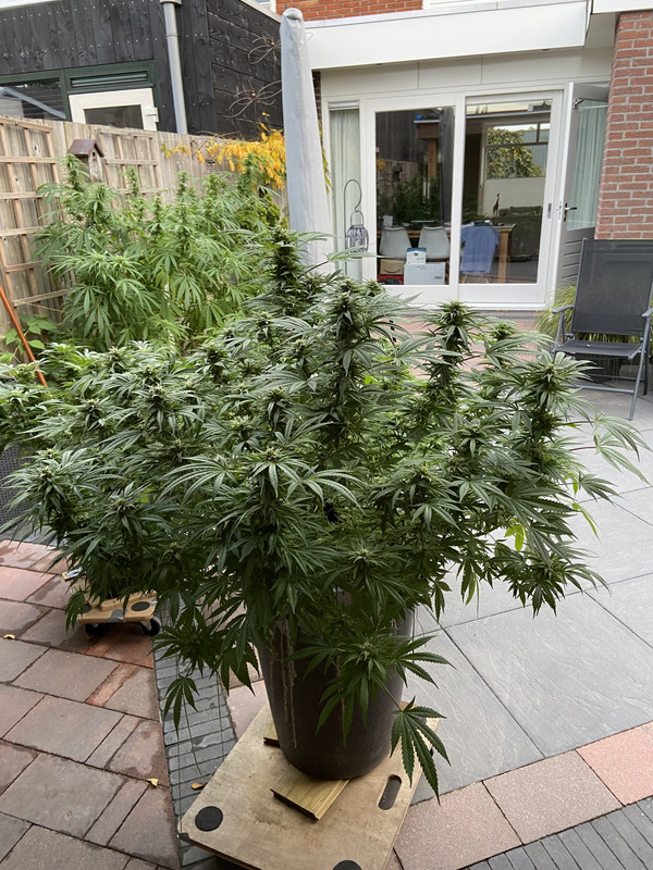 2BB1FAC7-A10E-4399-8258-3F92415091D6