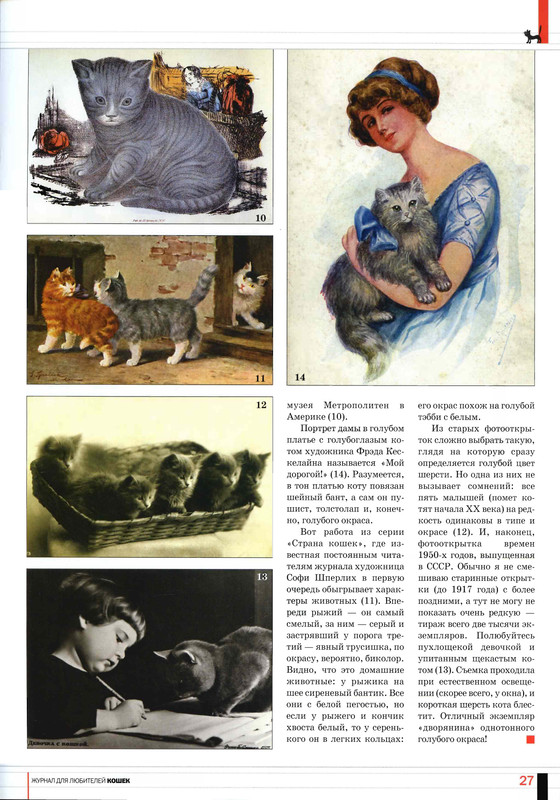 Друг кошек 2006-06-27