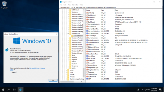 Windows 10 Enterprise 2019 LTSC v1809 Build 17763.1039 AIO 4in2 (x86/x64) February 2020