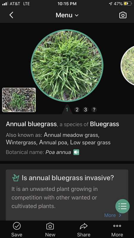 61E63D68-930D-4A28-8F12-CEC8AB2DE62E