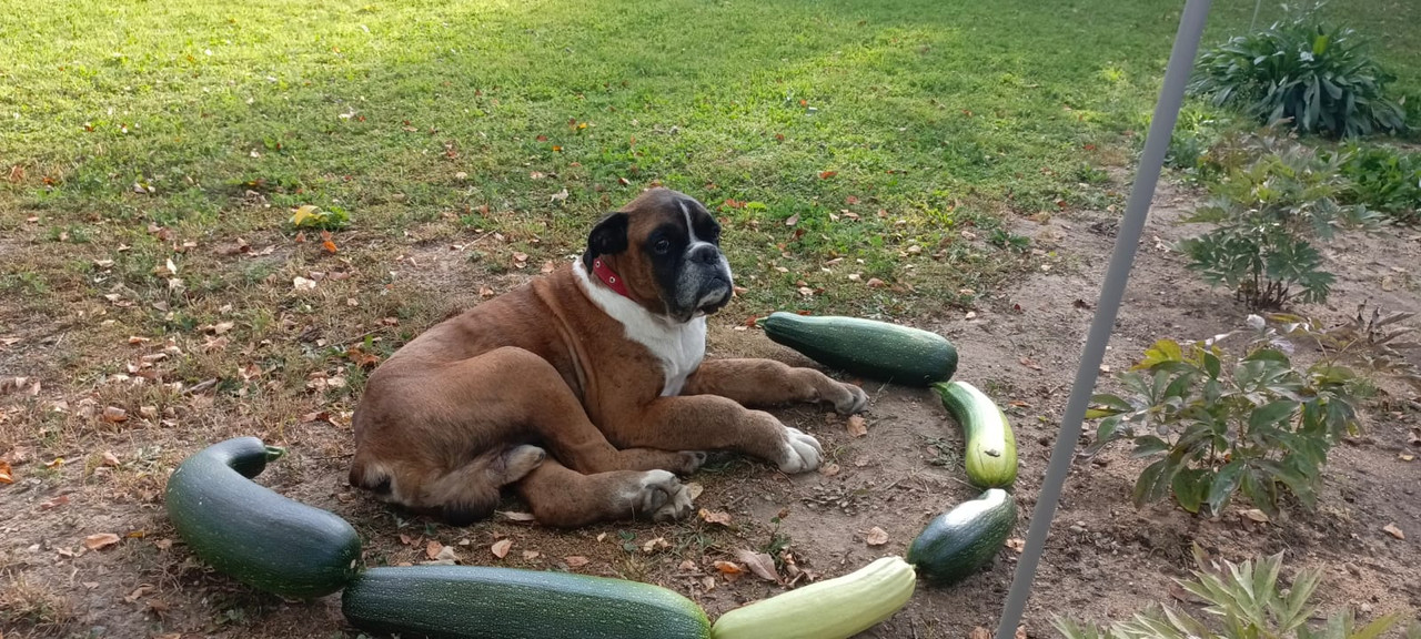 7D223754-BC57-42C7-A61F-7B5A908AE9E2