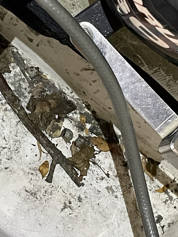 8B101966-AF51-49E1-83FE-E10FC822B75E