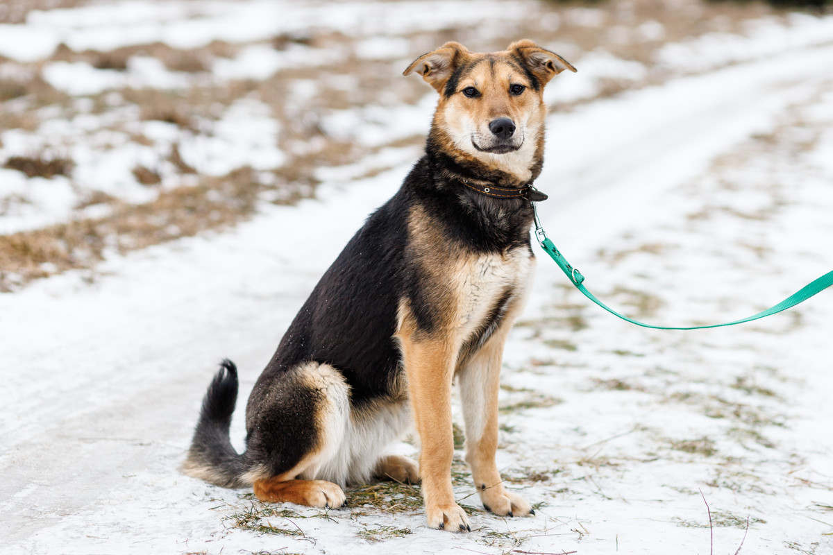 RRDaPGIDaq6DTzmuK1VD5N-k-lmG5iakR5boVohyd_wmMBvfKC5LaHaCLpD7RKebzk0RFRAWDi8R_imv4dJlgQ==?uid=0&filen