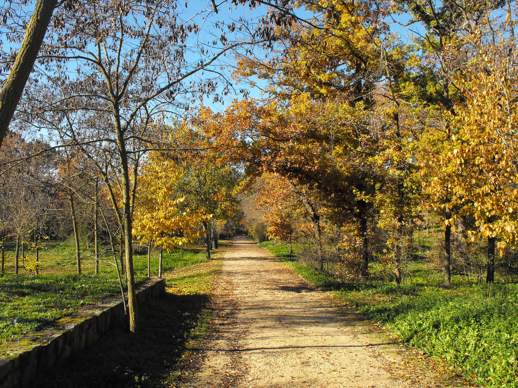 El-Forestal-Villaviciosa-de-Od-n-07