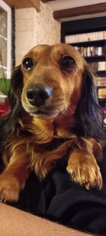 [Image: 20241128-180514.jpg]