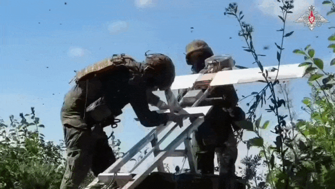 https://i.postimg.cc/05BQgdZQ/video-2026-08-08-09-30-30-(1).gif